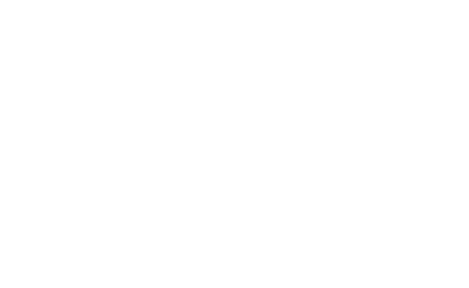Black Hornet Racing